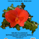 Plakat Berlin 2024