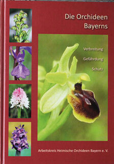 Buchtitel Die Orchideen Bayerns – Verbreitung, Gefährdung, Schutz