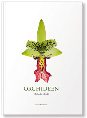 Pwalitzki: Orchideen