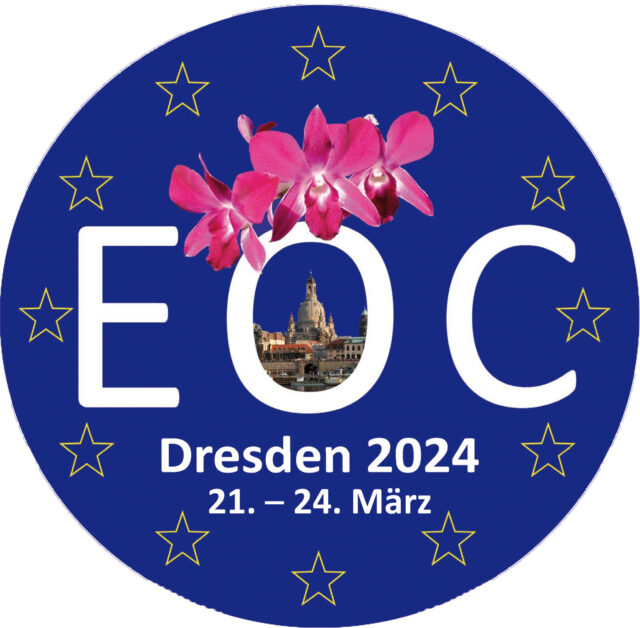 Logo EOC 2024
