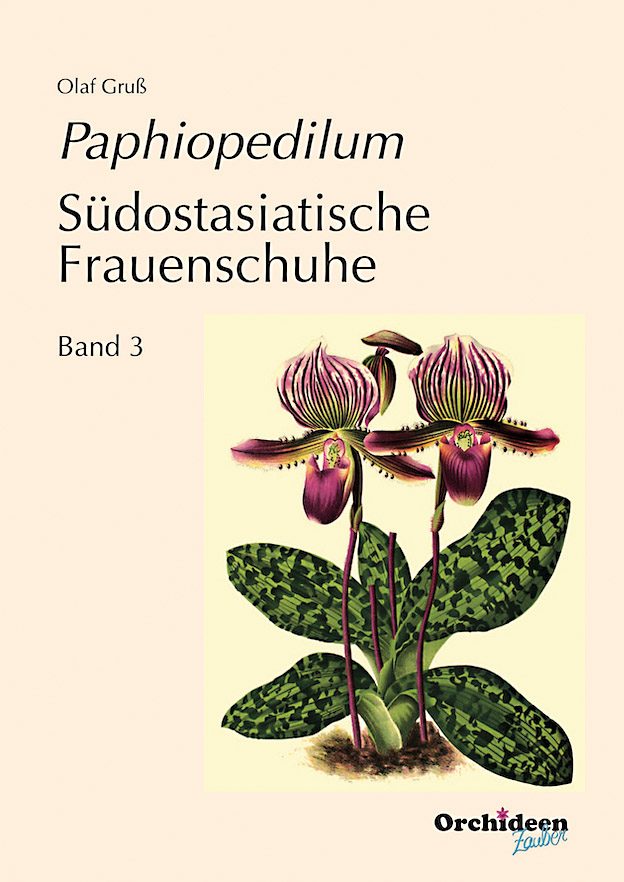 Gruß Paphiopedilum Band 3