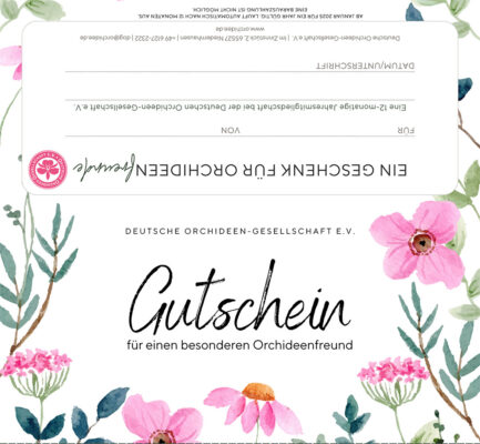 Gutschein Frühling 1