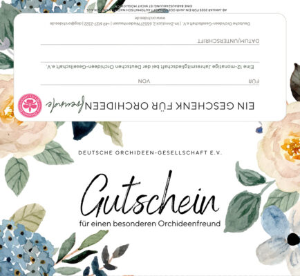 Gutschein Frühling 2