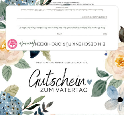 Gutschein Vatertag