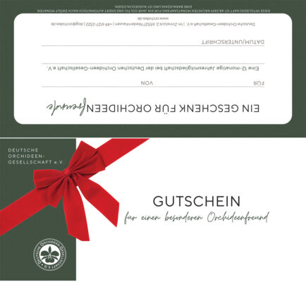 D.O.G. Geschenkkarte zum Ausdrucken Weihnachten 1