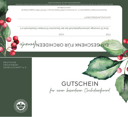 D.O.G. Geschenkkarte zum Ausdrucken Weihnachten 2