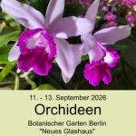 Plakat Ausstellung Berlin 2026