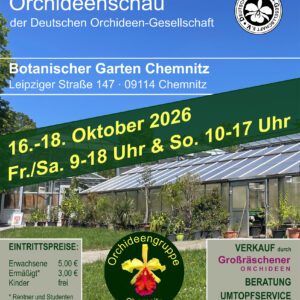 Plakat Chemnitz 2026
