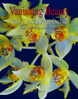 Buchcover Pupulin Vanishing Beauty Vol. 3