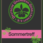 Logo Sommertreff
