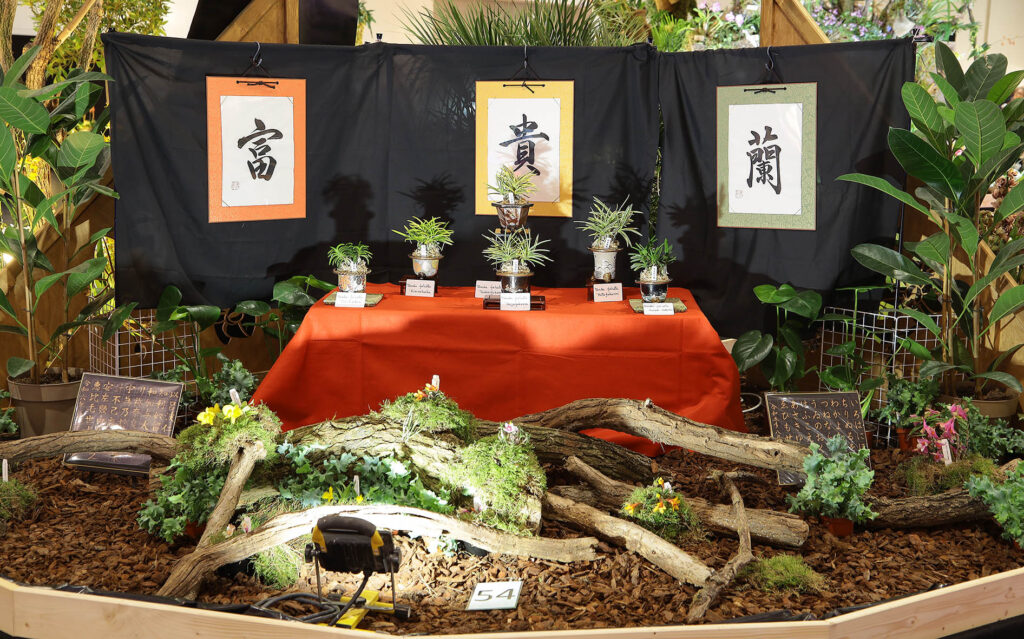 Schaustand von Hachinohe Orchid & Bela Vista Orchids