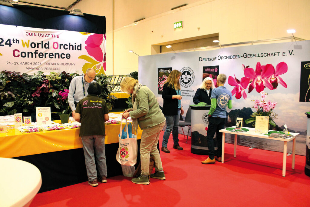 WOC-Infostand und Lounge der D.O.G.